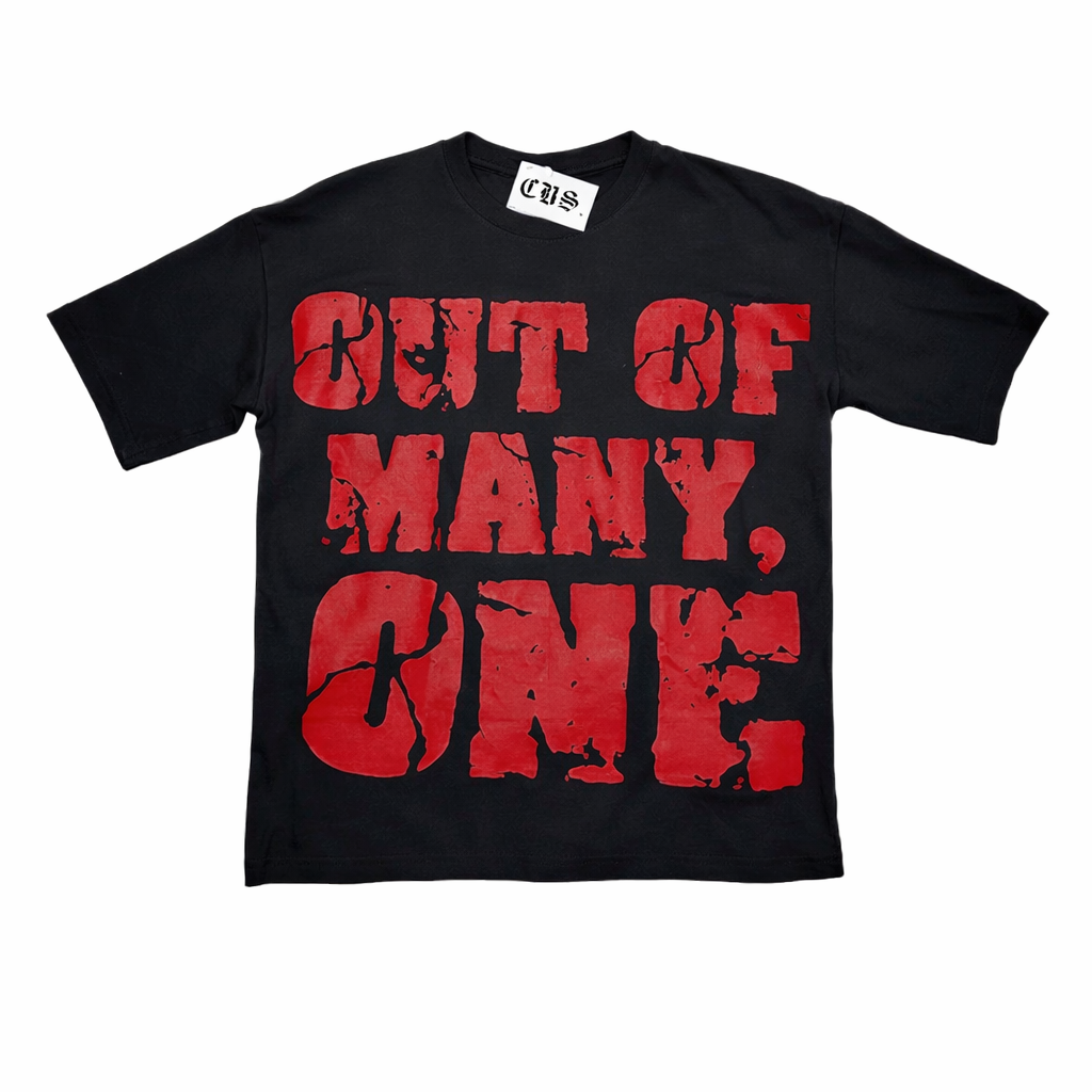 OUT OF MANY, ONE 💸